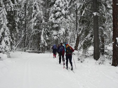 Cross-Country Ski through Nipika Mountain Resort in Canada