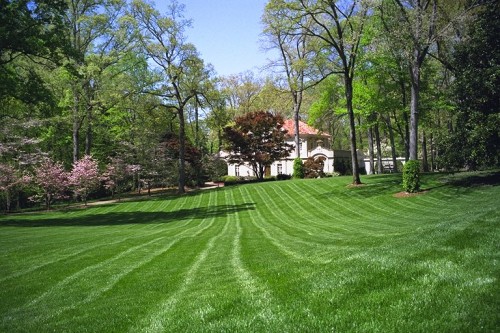 Lawn-Photo5